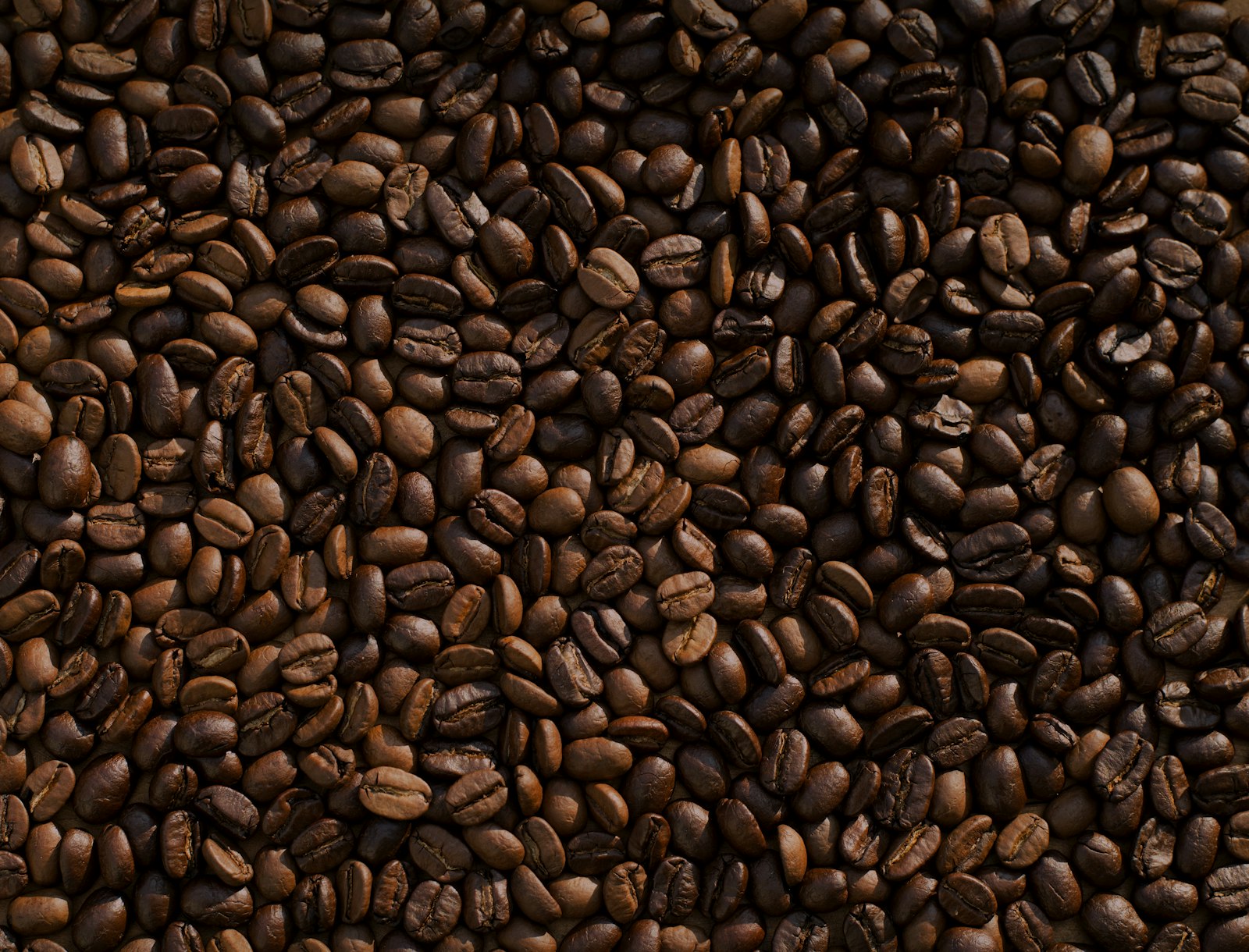 Cómo hacer espresso sin electricidad: guía paso a paso